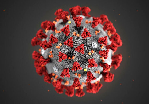 Coronavirus: cosa è bene sapere per evitare allarmismi - Apoteca Natura
