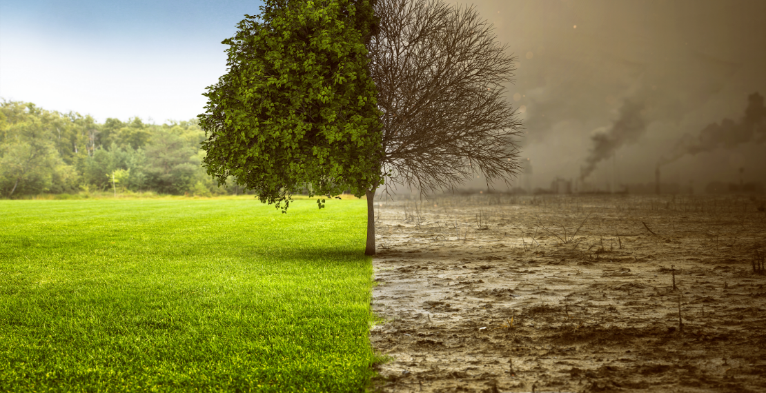 Inquinamento Atmosferico: Da cosa è generati e che effetti nocivi ha sulla salute - Apoteca Natura