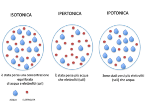 Sete - Apoteca Natura