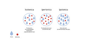 Le varie forme di disidratazione - Apoteca Natura