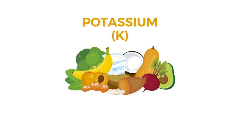 Fonti alimentari di Potassio - Apoteca Natura