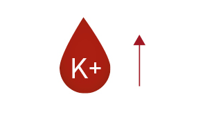 Iperkaliemia (eccesso di potassio) - Apoteca Natura